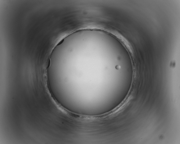 X0000103401385200809120913