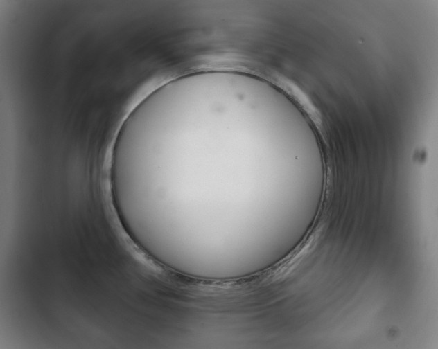 X0000103401386200809120913