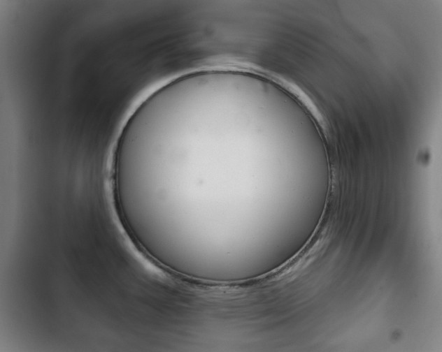X0000103401387200809120913