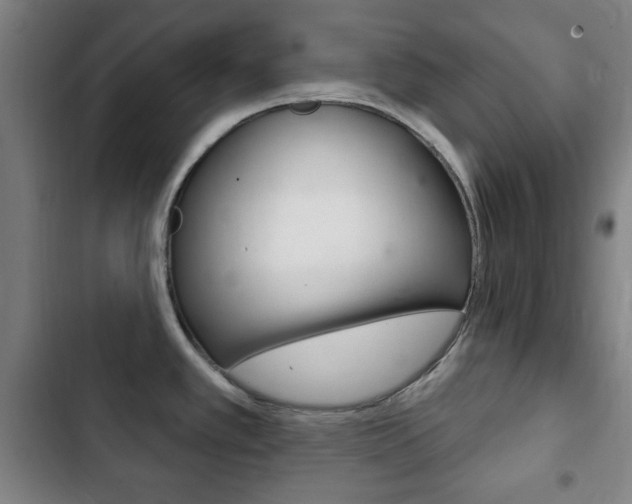 X0000103401389200809120913