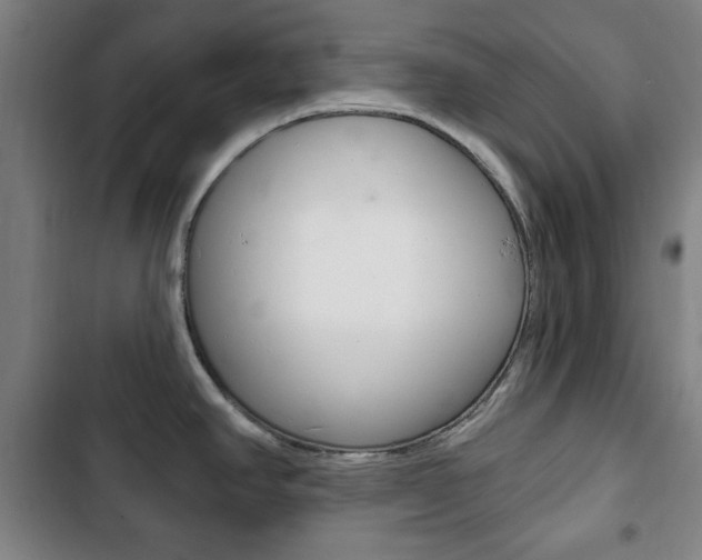 X0000103401390200809120913