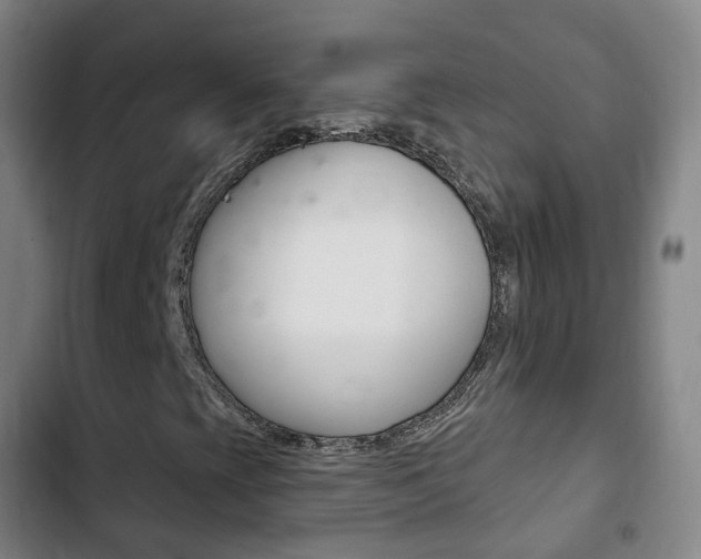 X0000103401393200809120913