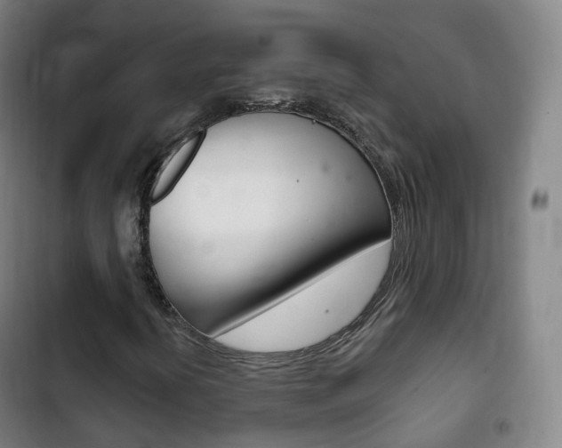 X0000103401394200809120913