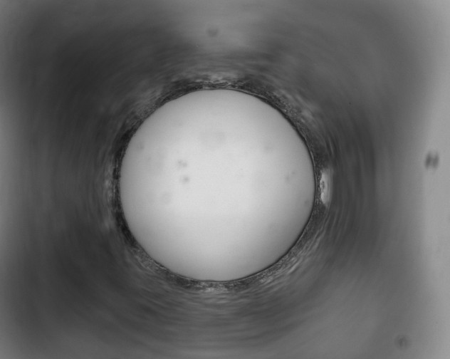 X0000103401395200809120913