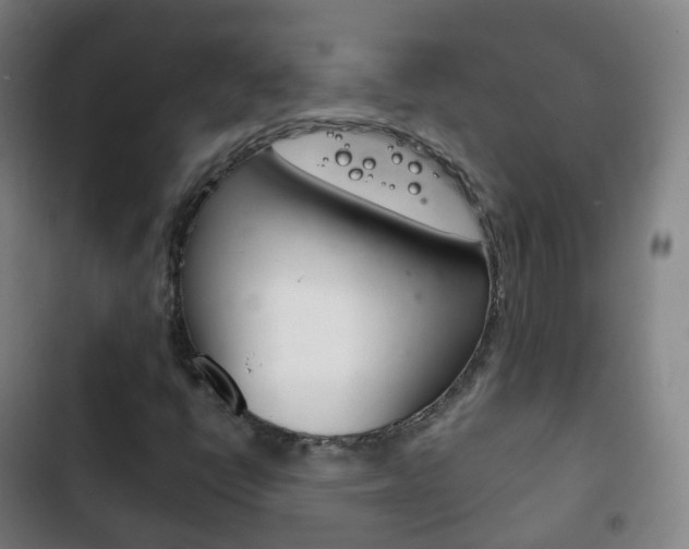 X0000103401398200809120913