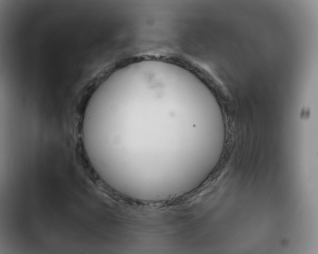 X0000103401399200809120913