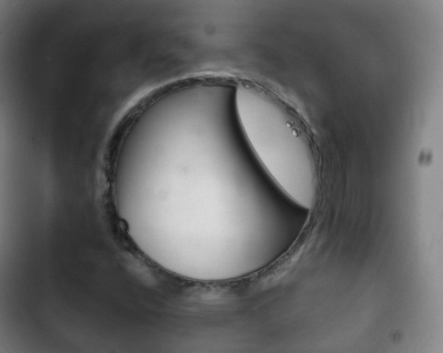 X0000103401400200809120913
