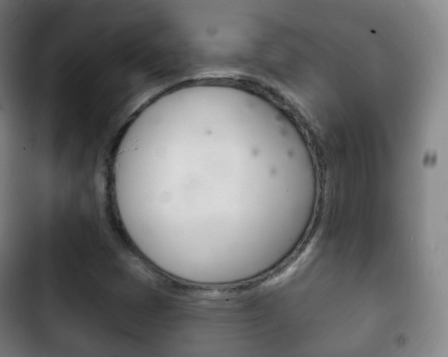 X0000103401401200809120913