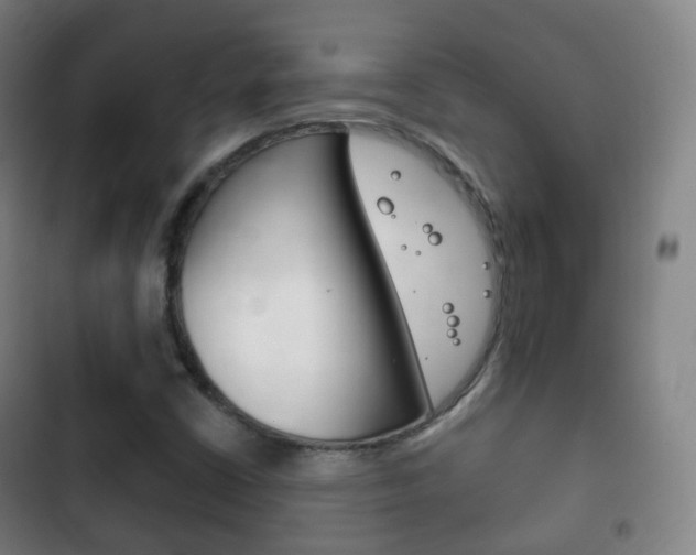 X0000103401402200809120913