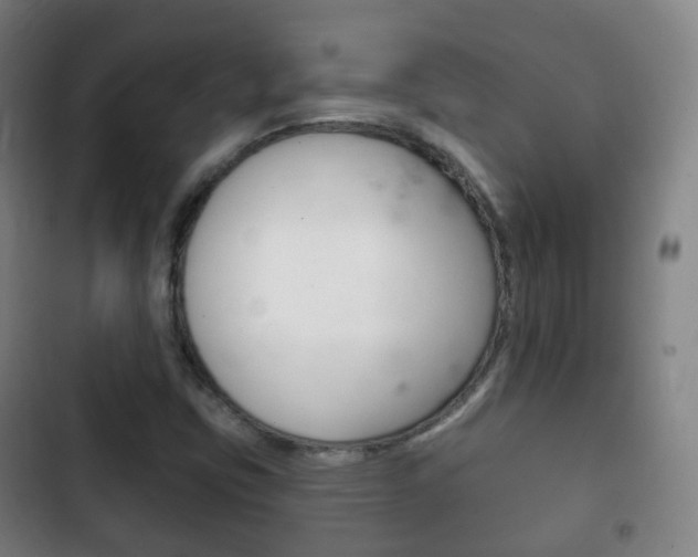 X0000103401403200809120913