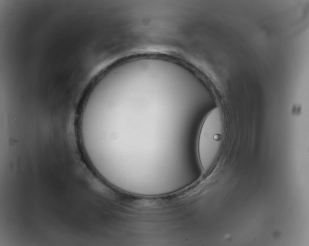 X0000103401404200809120913