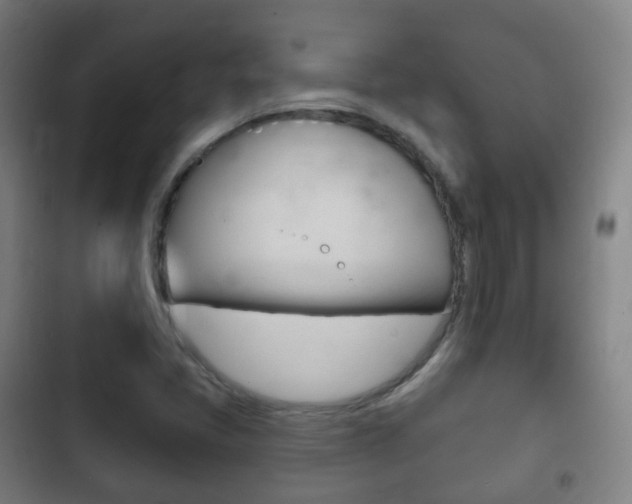 X0000103401405200809120913