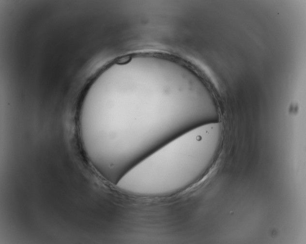 X0000103401407200809120913
