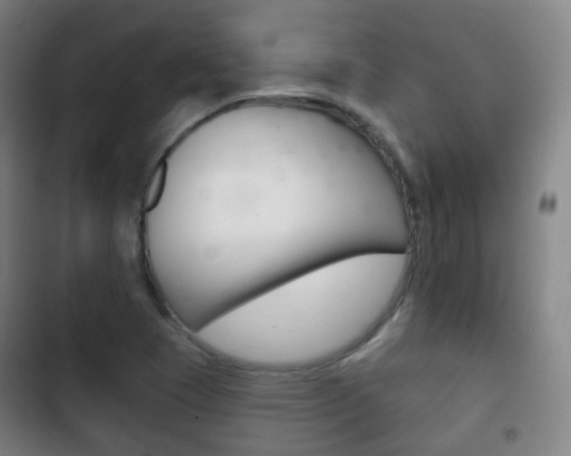 X0000103401409200809120913