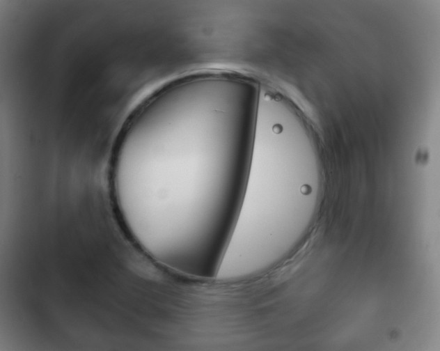 X0000103401412200809120913