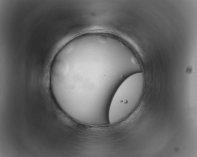 X0000103401413200809120913