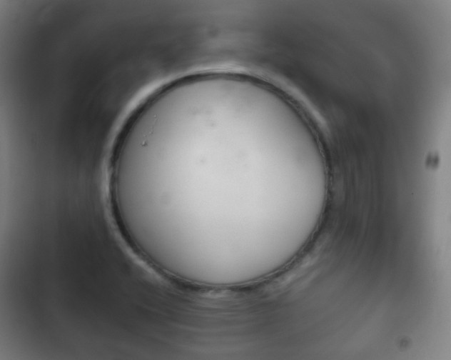 X0000103401416200809120913
