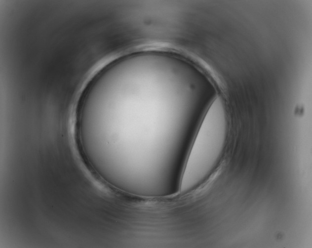 X0000103401418200809120913