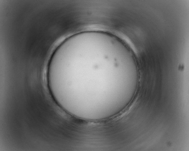 X0000103401419200809120913