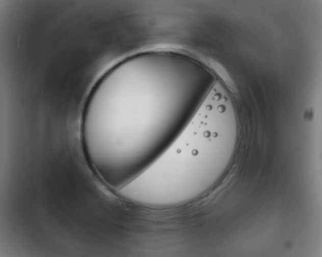 X0000103401420200809120913