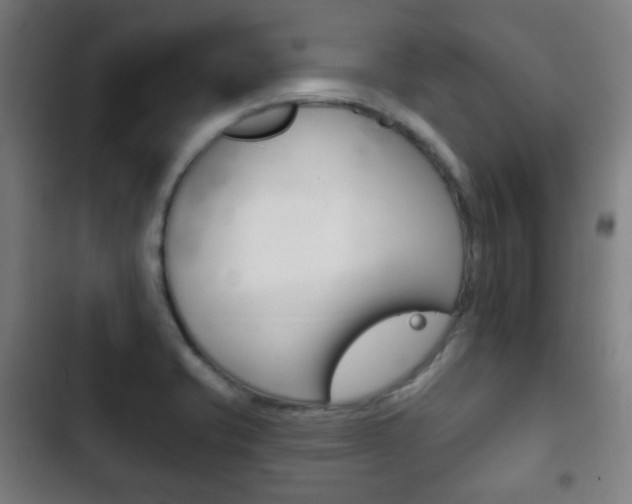 X0000103401421200809120913