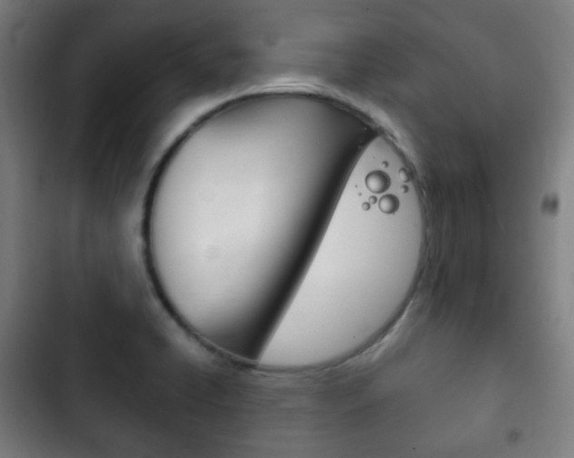 X0000103401422200809120913