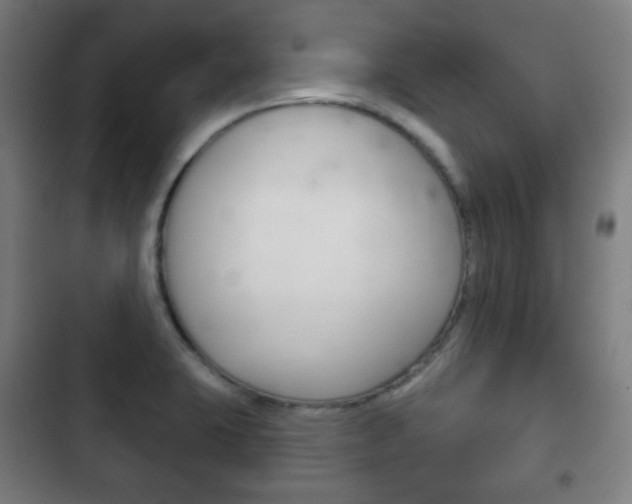 X0000103401423200809120913