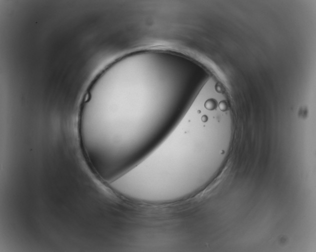 X0000103401424200809120913