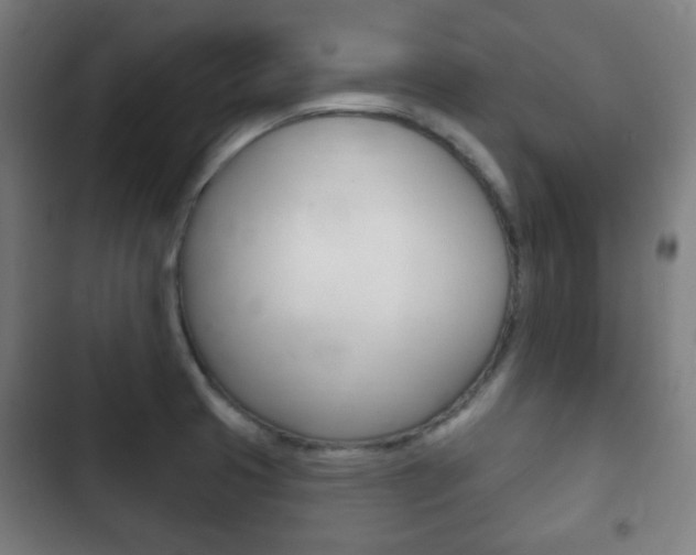 X0000103401425200809120913