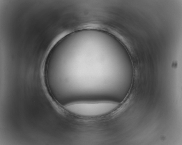 X0000103401426200809120913