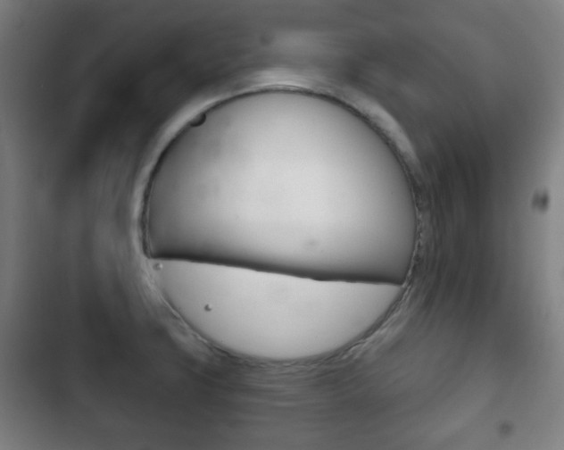 X0000103401427200809120913