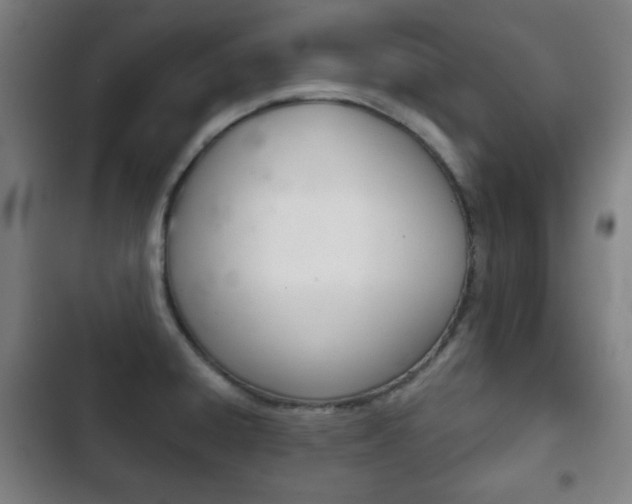 X0000103401428200809120913
