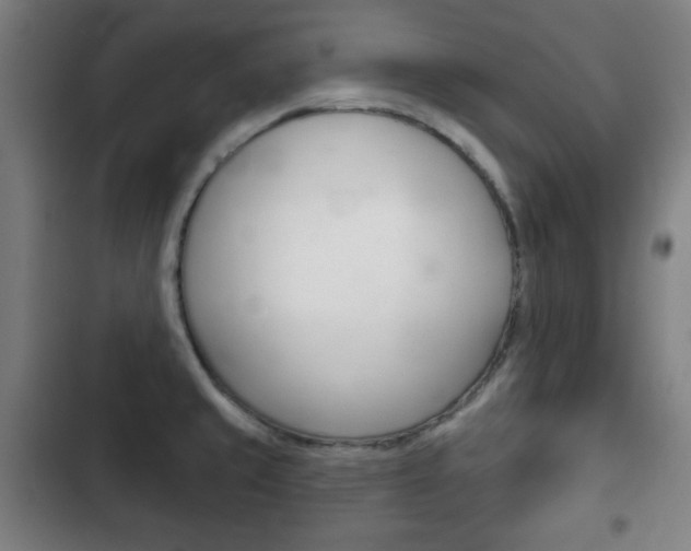 X0000103401429200809120913