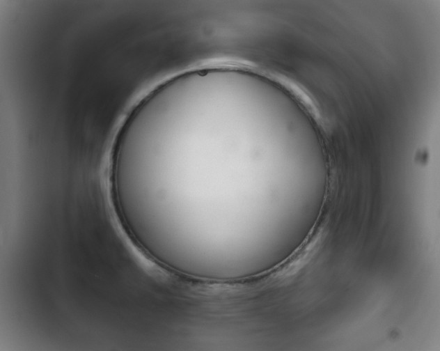 X0000103401430200809120913