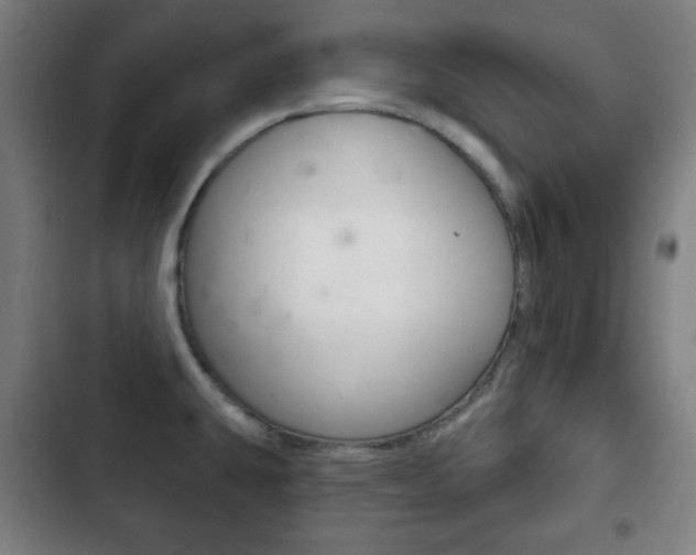 X0000103401431200809120913