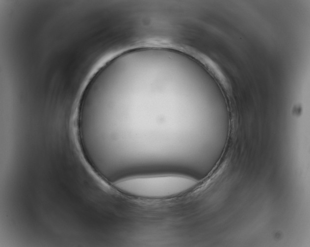 X0000103401432200809120913
