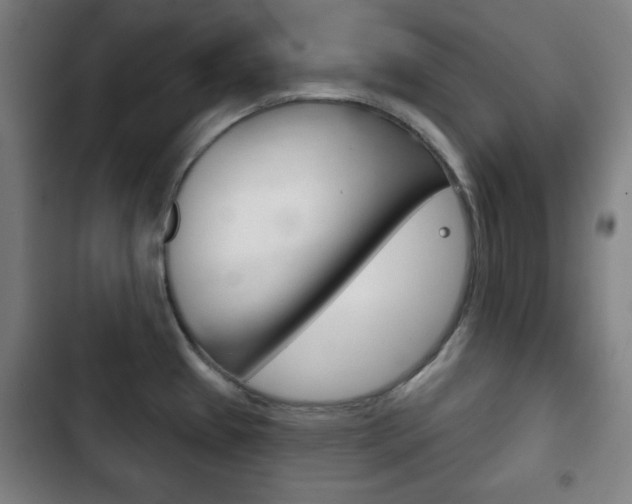 X0000103401433200809120913