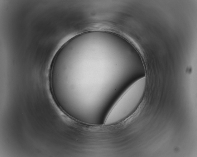 X0000103401434200809120913