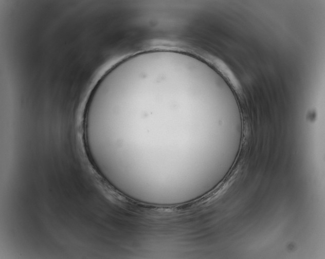 X0000103401435200809120913