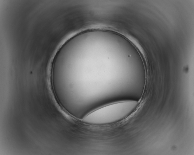 X0000103401437200809120913
