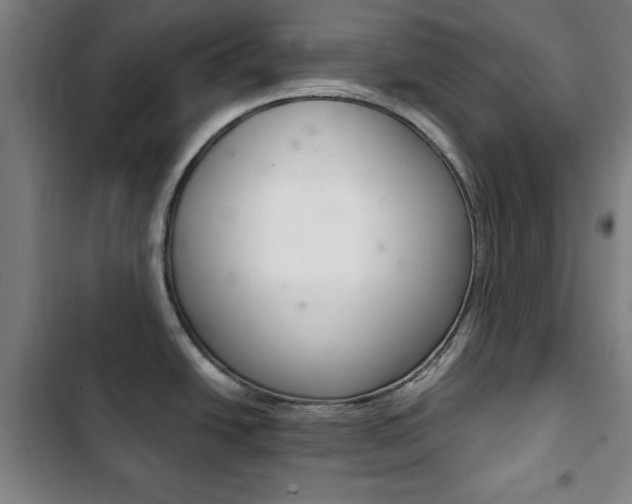 X0000103401438200809120913