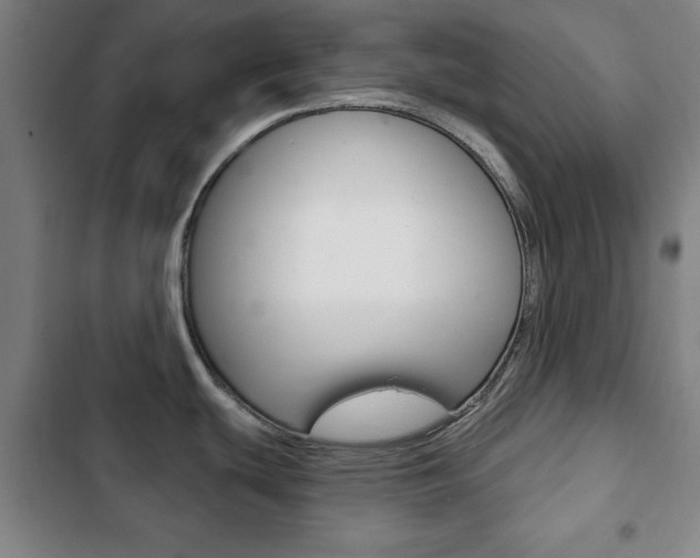 X0000103401439200809120913