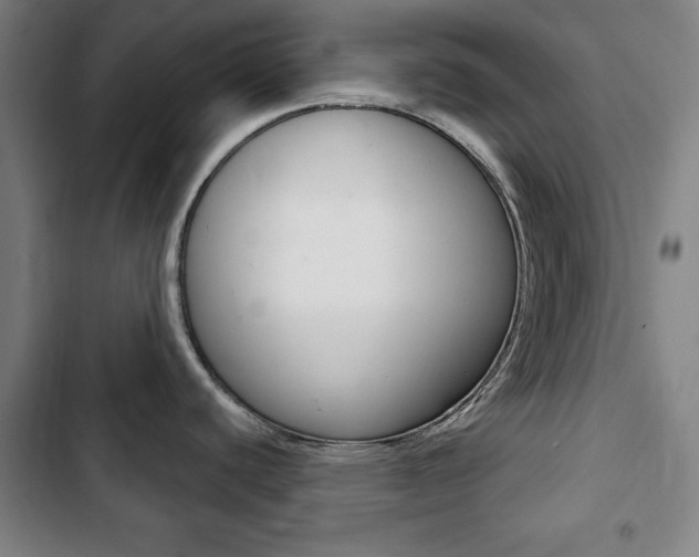X0000103401440200809120913