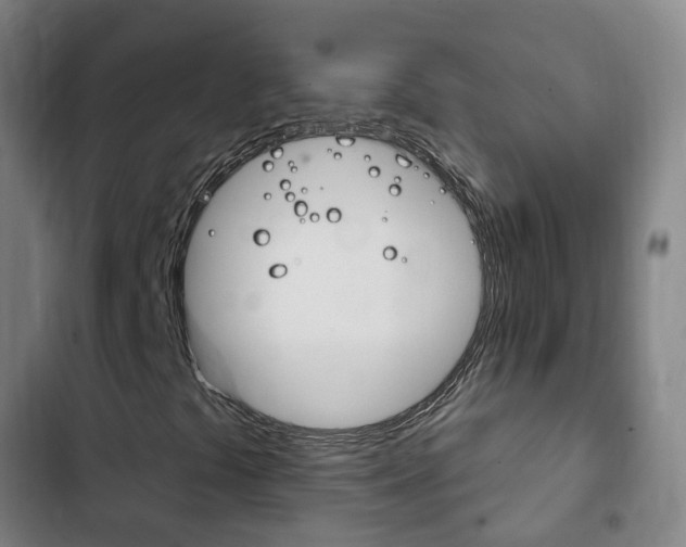X0000103401441200809120913