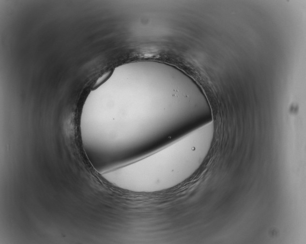 X0000103401442200809120913