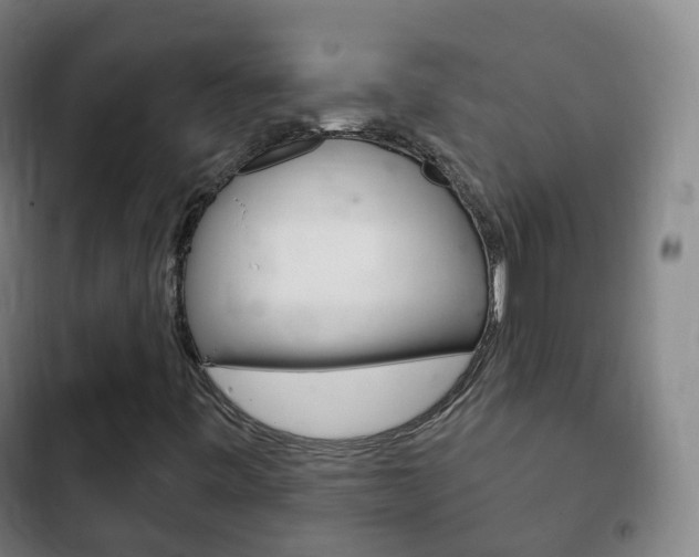 X0000103401443200809120913