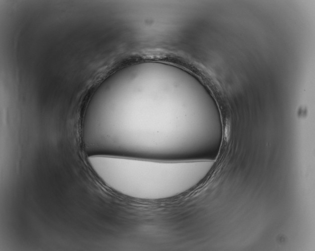 X0000103401444200809120913