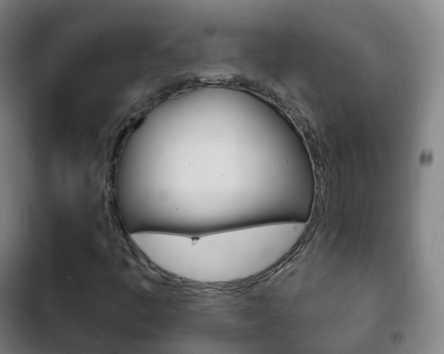 X0000103401445200809120913