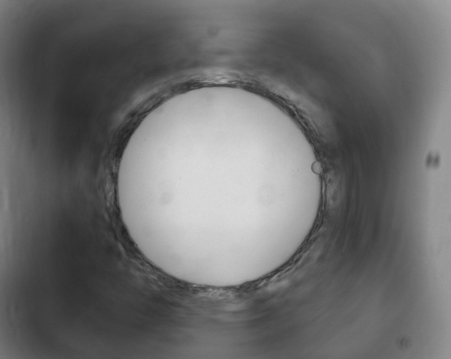 X0000103401446200809120913