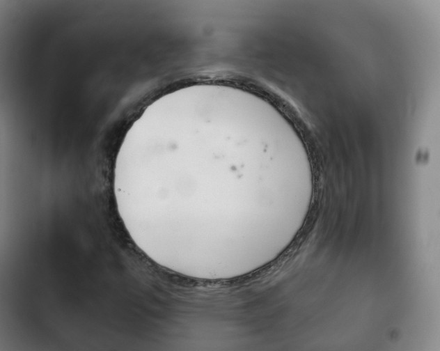 X0000103401447200809120913